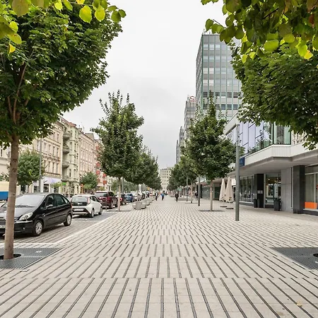 Diamond Sw Marcin Poznaň